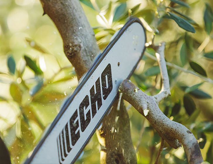 ECHO CS-362WES